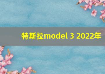 特斯拉model 3 2022年